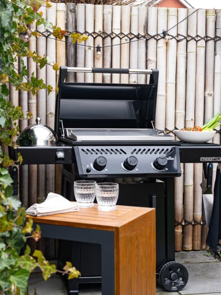 Barbacoa Napoleón de gas Freestyle 24