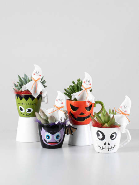 Taza decorativa con Echeveria - Especial Halloween
