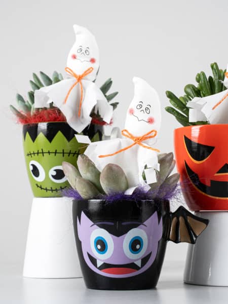 Taza decorativa con Echeveria - Especial Halloween