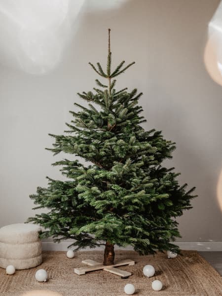 Árbol de Navidad Natural Nordmanniana (cortado)