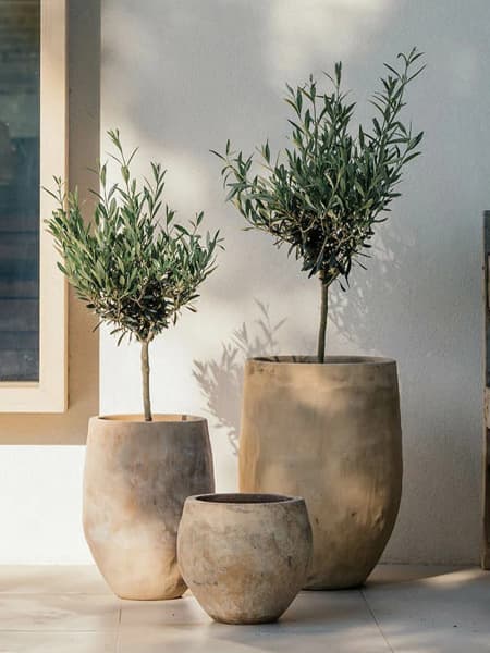 Maceta de Barro Delta Campana Amel Antic - Herstera