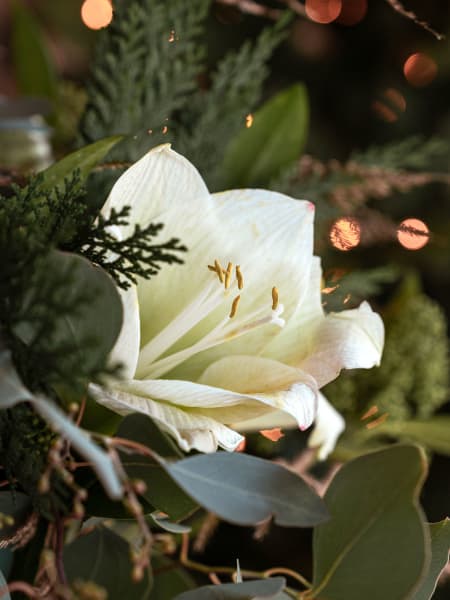 Navidad White-Green - Ramo de flores natural