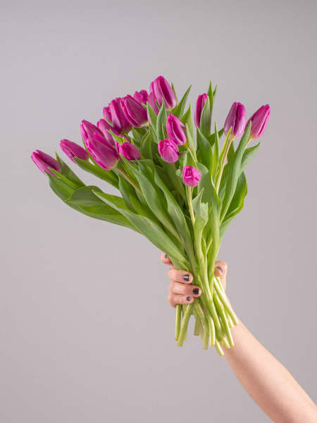 Ramillete de Tulipanes Morados