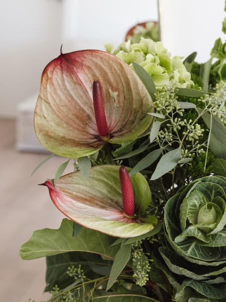 Ramo de Flores naturales Anthurium