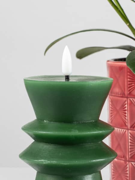 Pack regalo Skimmia 'Invierno escarlata'