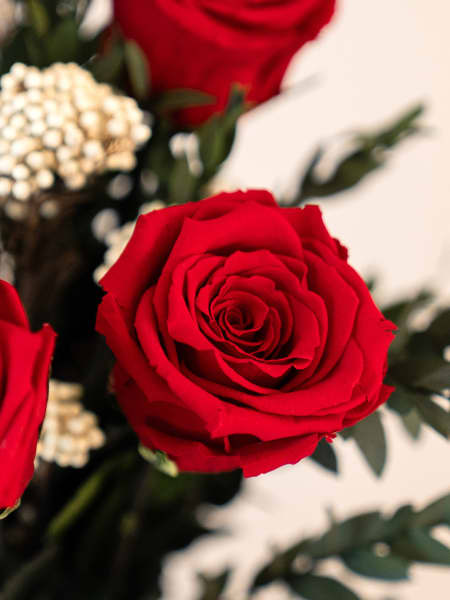 Ramo San Valentín 6 rosas preservadas