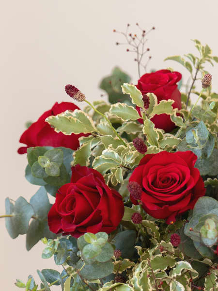 Ramo San Valentín 12 rosas rojas