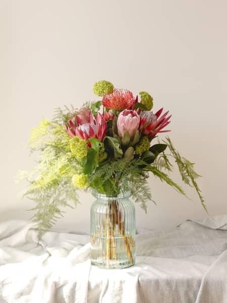 Ramo Proteas XL
