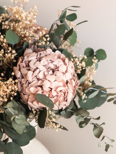 Ramo preservado Tramontana