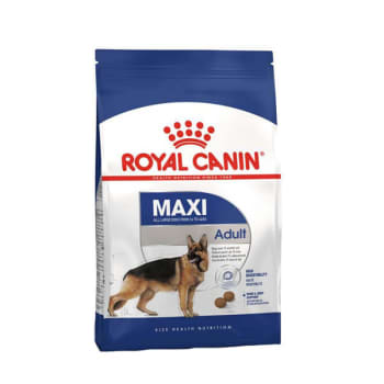 Royal canin adult maxi