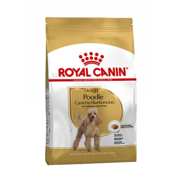 Royal canin caniche