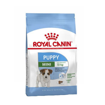 Royal canin junior mini