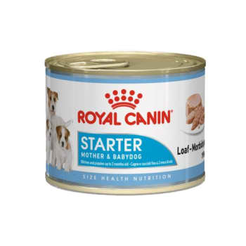 Royal canin alimento húmedo starter mousse