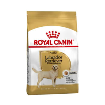 Royal canin labrador