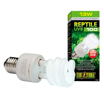 Bombilla para terrario tropical uvb 100