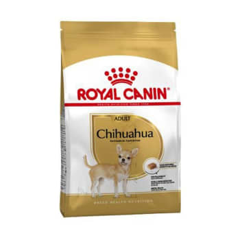 Royal canin chihuahua