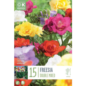 Bulbos de Freesia doble mix colores