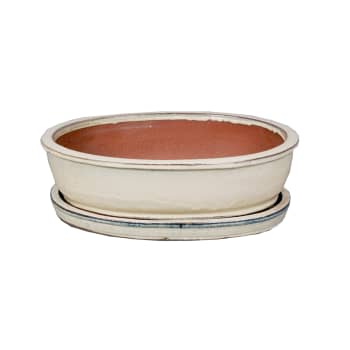 Maceta bonsai asuka+plato blanco