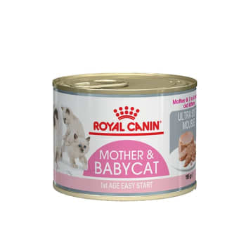 Royal canin lata mother & babycat