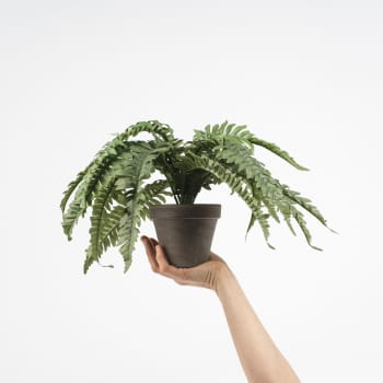 Comprar Plantas artificiales Online