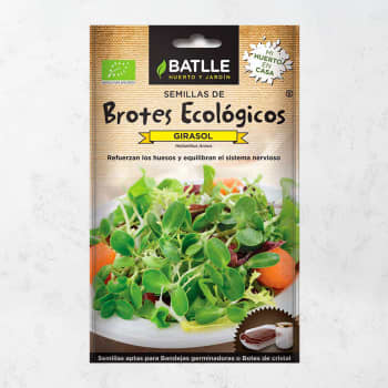 Semillas brotes girasol eco