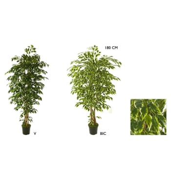 Árbol de Ficus hawai Artificial - 180cm