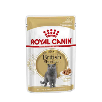 Royal canin húmedo british shorthair salsa