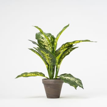 Maceta dieffenbachia artificial verde