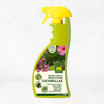 Insecticida Cochinillas Spray 750ml Massó