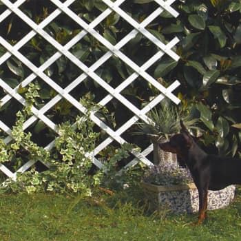 Celosia de PVC extensible Nortene TRELLIFLEX blanco