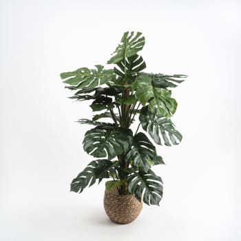 Árbol de Planta de monstera Artificial con tutor