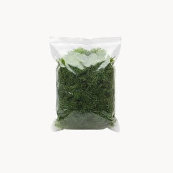 Musgo verde decorativo 50 g para Belén