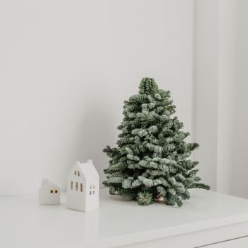 Árbol natural de ramas de abeto