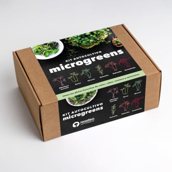 Kit Autocultivo Microgreens