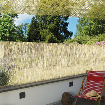 Ocultación de Cañizo natural REEDCANE