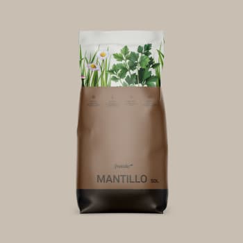 Mantillo Fronda
