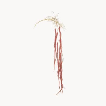 Rama artificial de Amaranthus roja 118 cm