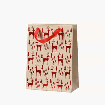 Bolsa Regalo Roja con Motivos Surtidos (18x8x24 cm)