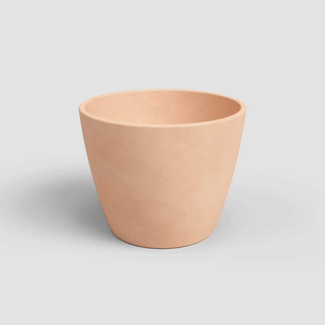 Campana