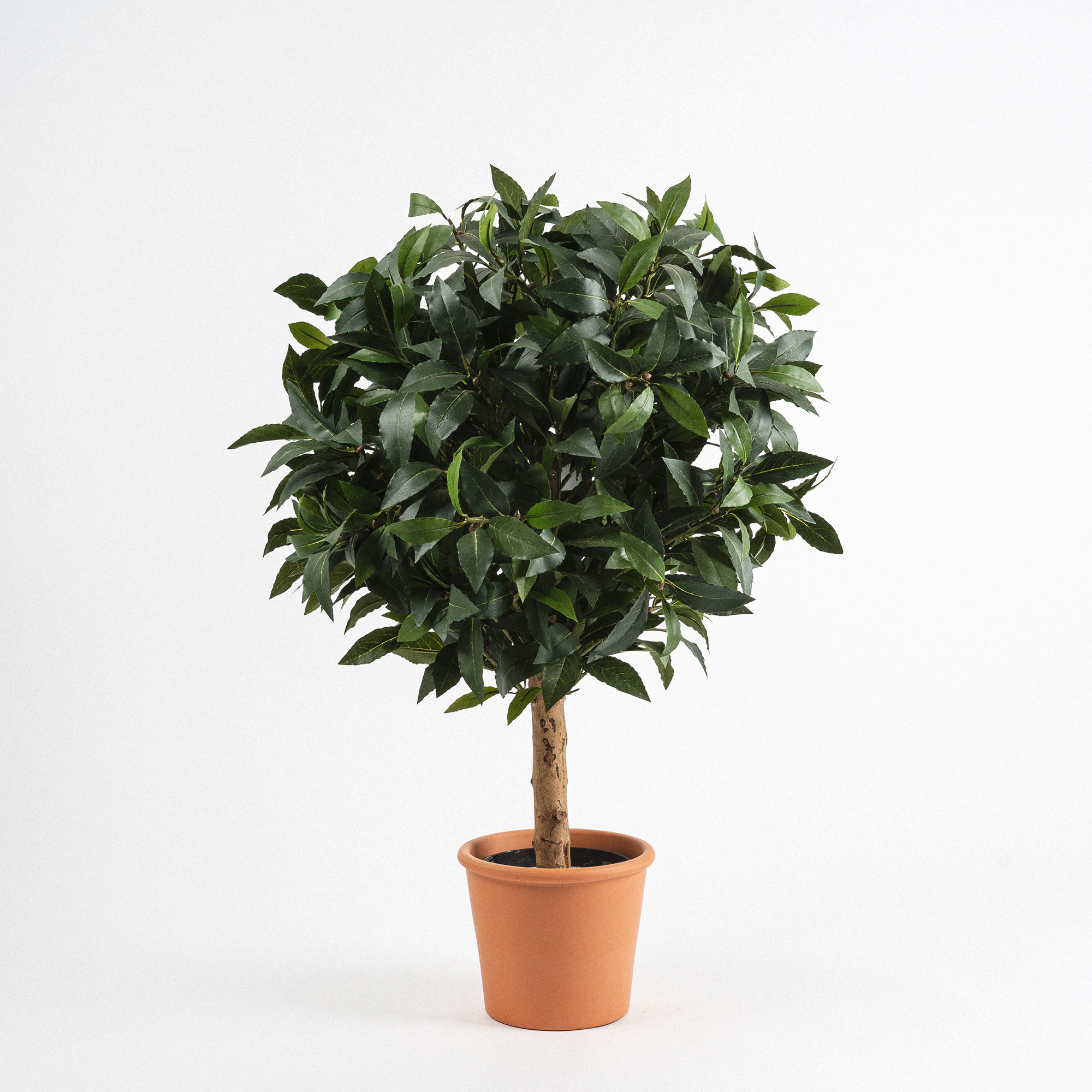 Planta artificial ficus verde 180cm – Marineando