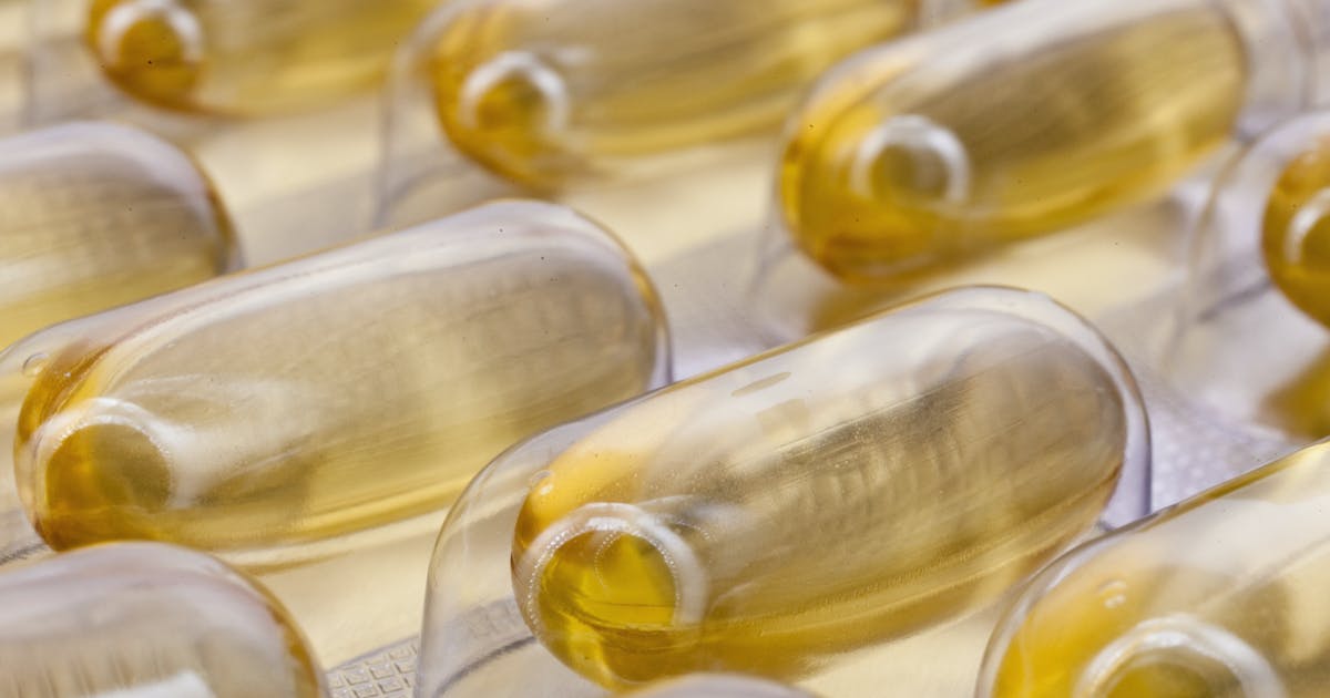 Can Dogs Take Human Probiotics? FOTP