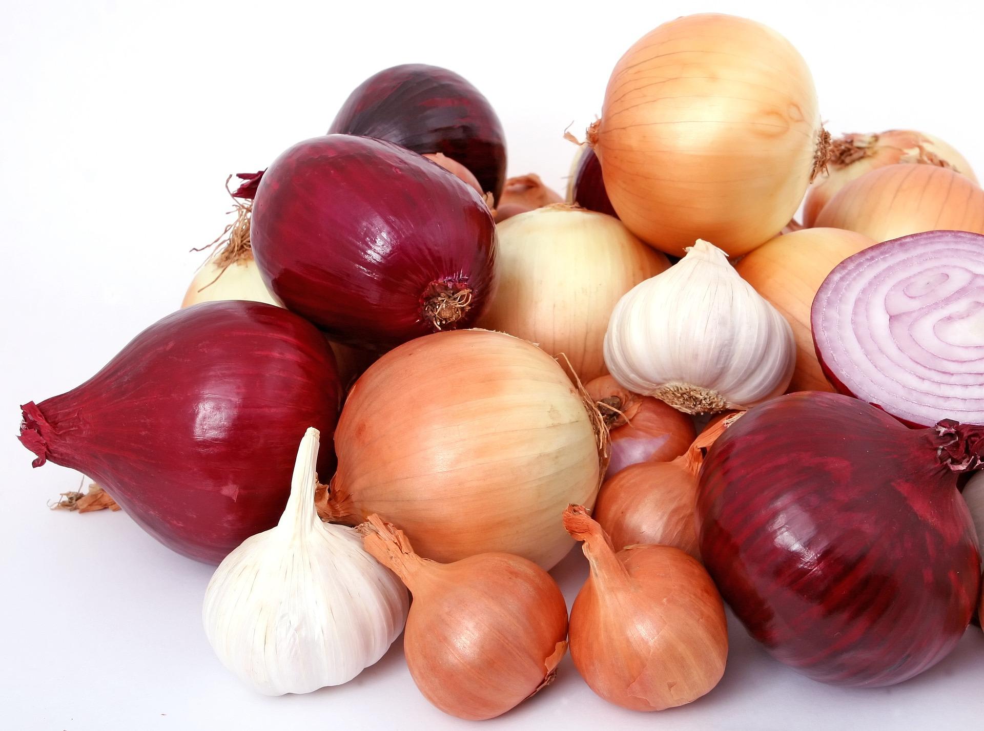 Are red onions bad for dogs online