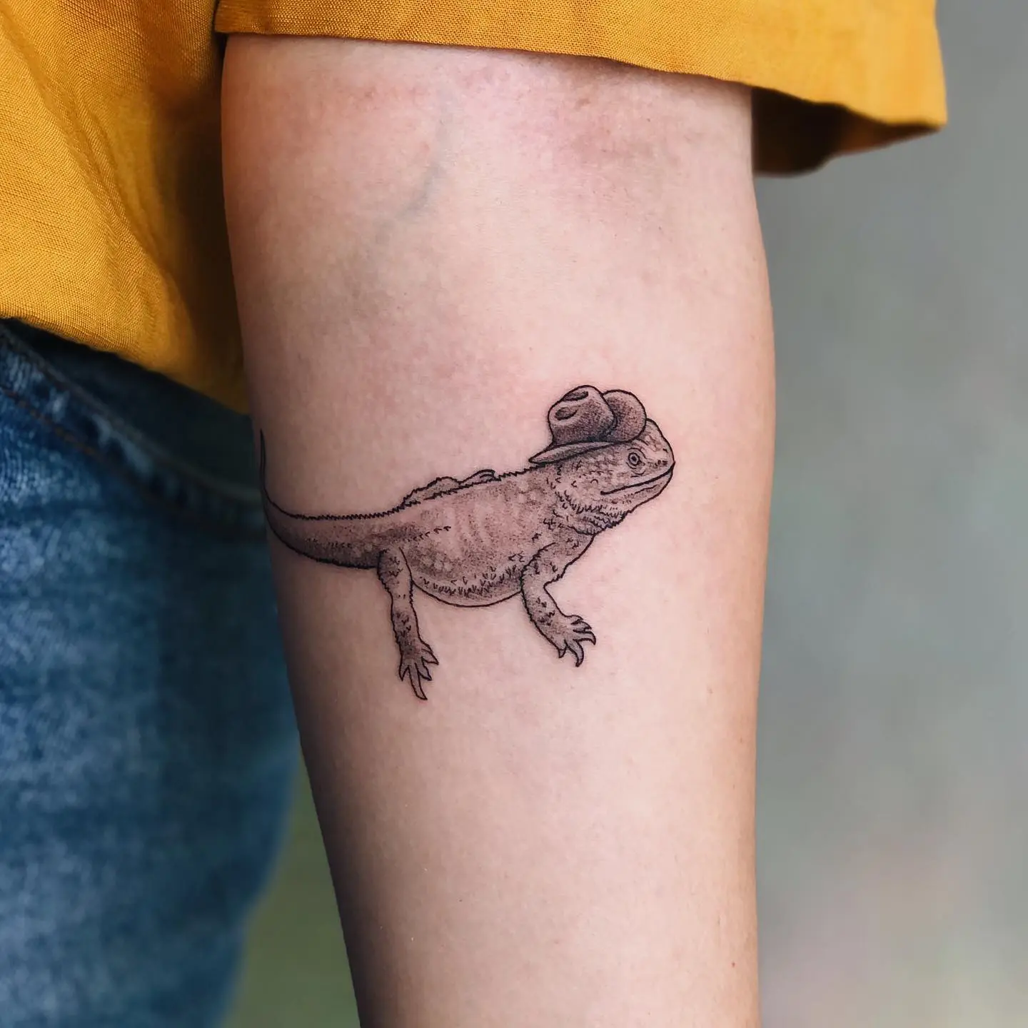 Paige ᜆᜎ  on Twitter Smaug the bearded dragon with echeveria amp  eucalyptus  A tattoo design for Martie Their beardie is missing a lil  bit of his tail Ill also have