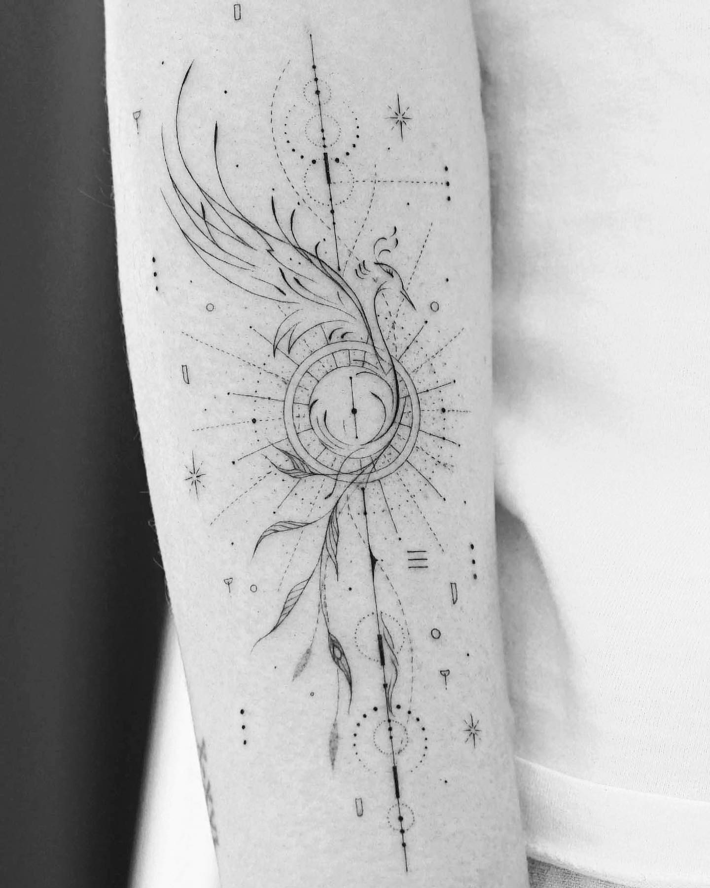 Phoenix tattoo TattooDesign Phoenix tattoo TattooDesign