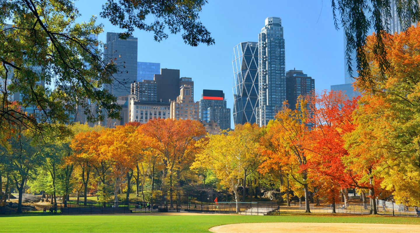Best Parks in New York