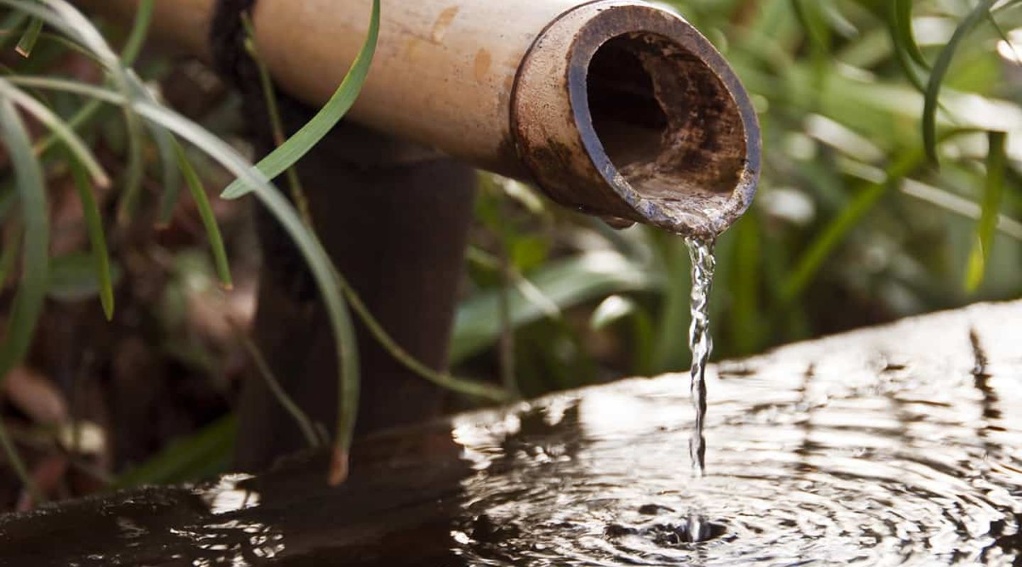 What is Grey Water and What You Can Do With It?