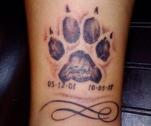 Paw Print Tattoo Designs | TattooDesign