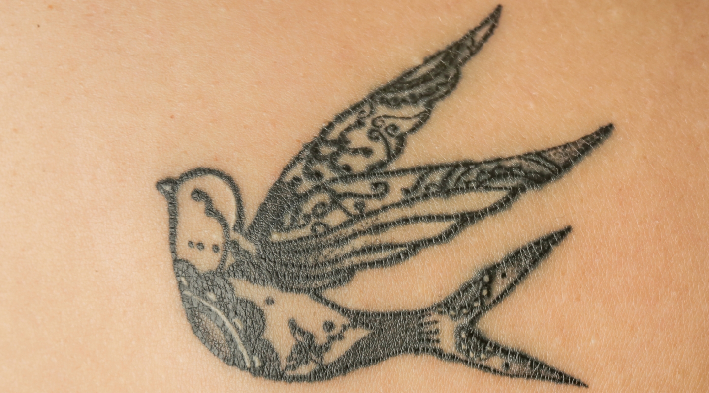 65 Cute Sparrow Tattoo Designs  Meanings  Spread Your Wings 2019