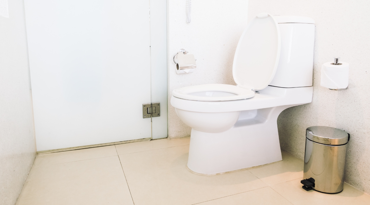 Comfort Height vs Chair Height Toilet