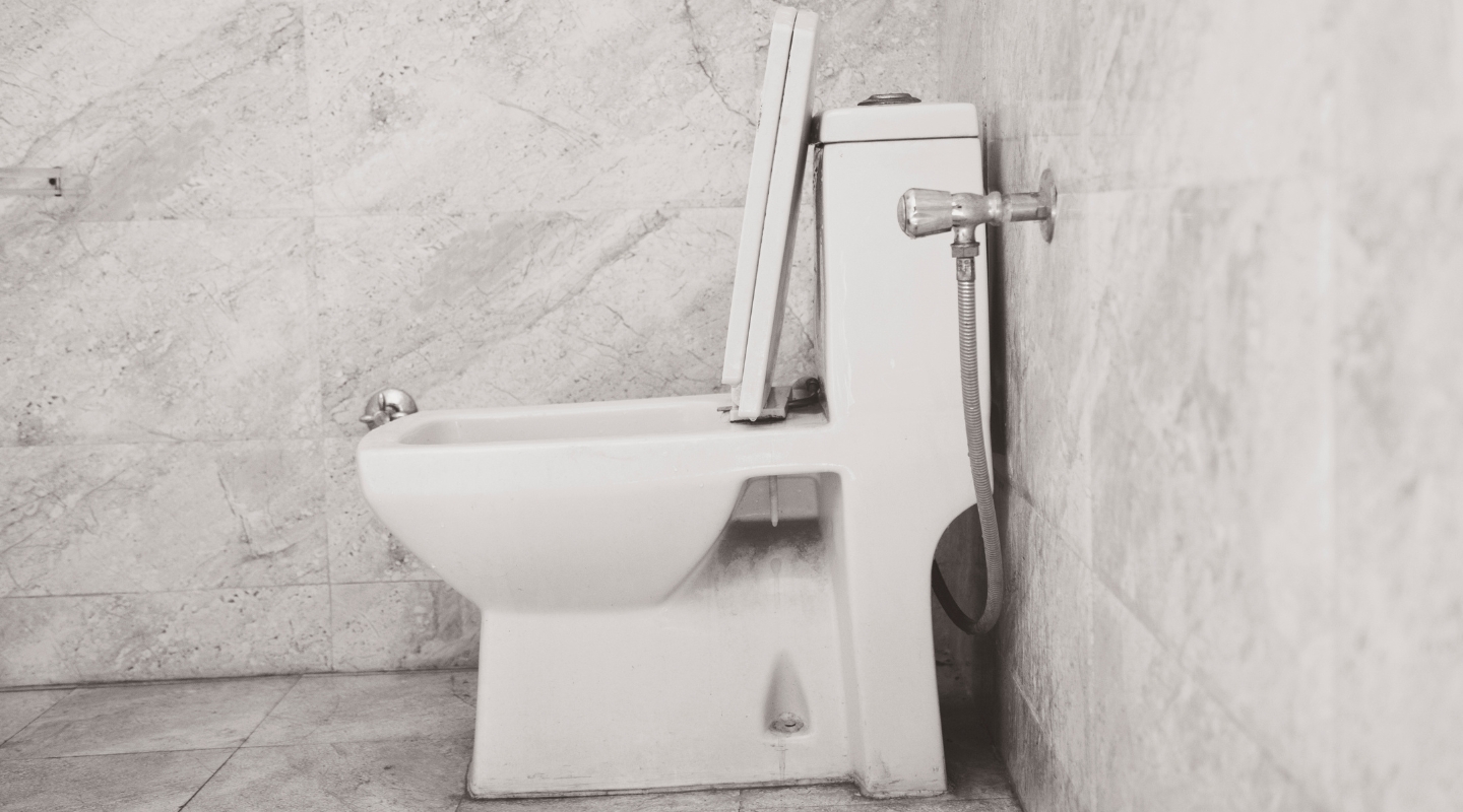 Comfort Height vs Chair Height Toilet